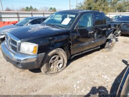 
										2005 Dodge Dakota full									