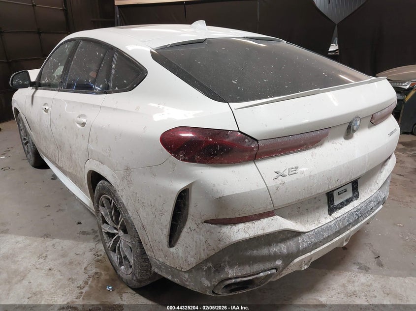 2023 BMW X6