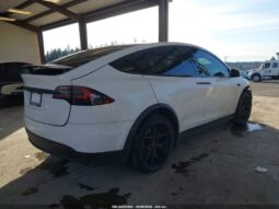 
										2019 Tesla Model x full									