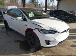 
										2019 Tesla Model x full									