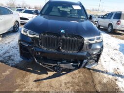 
										2019 BMW X7 full									