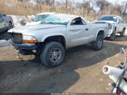 
										2003 Dodge Dakota full									