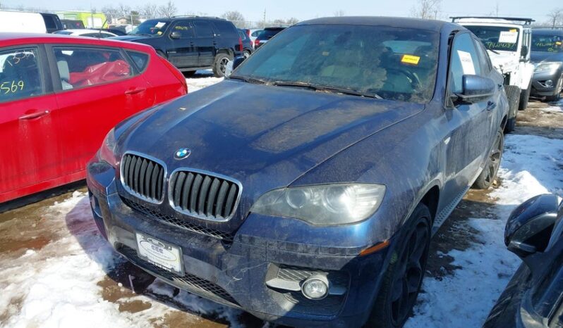 
								2010 BMW X6 full									
