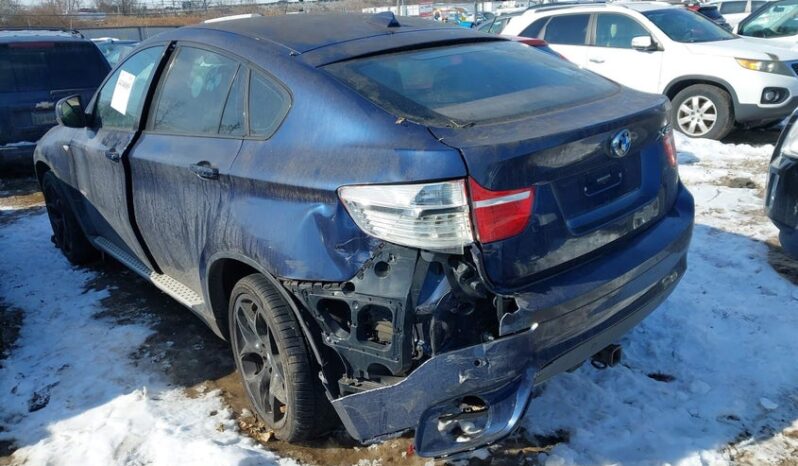 
								2010 BMW X6 full									
