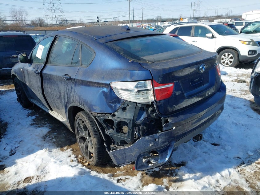 2010 BMW X6