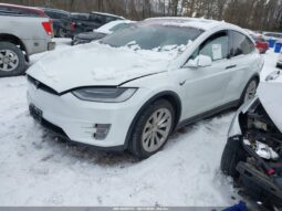 
										2019 Tesla Model x full									