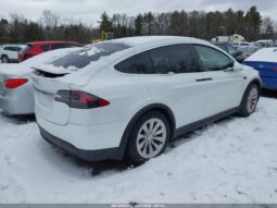 
										2019 Tesla Model x full									