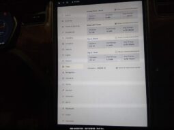 
										2019 Tesla Model x full									