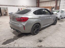 
										2017 BMW X6 m full									