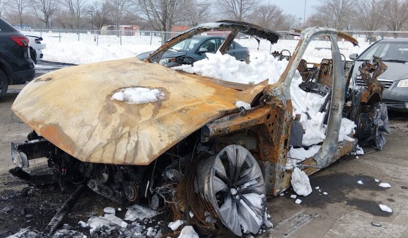 
								2025 Audi Q8 full									