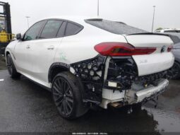 
										2026 BMW X6 full									