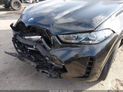 
										2025 BMW X6 full									
