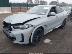 
										2025 BMW X6 full									