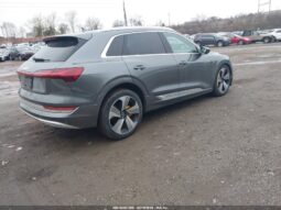 
										2019 Audi E-tron full									