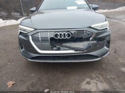 
										2019 Audi E-tron full									