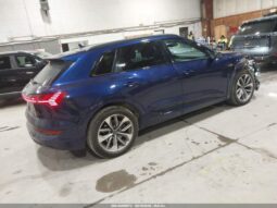 
										2021 Audi E-tron full									