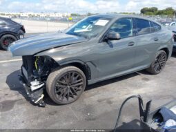 
										2026 BMW X6 full									