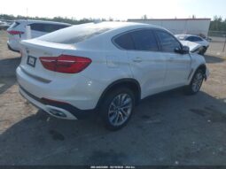 
										2019 BMW X6 full									
