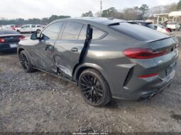 
										2026 BMW X6 full									