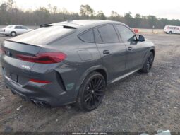 
										2026 BMW X6 full									