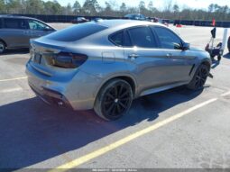 
										2016 BMW X6 full									