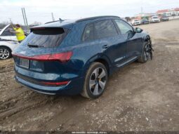 
										2022 Audi E-tron full									