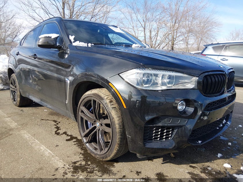 2016 BMW X6 m