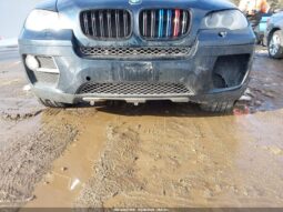 
										2013 BMW X6 full									