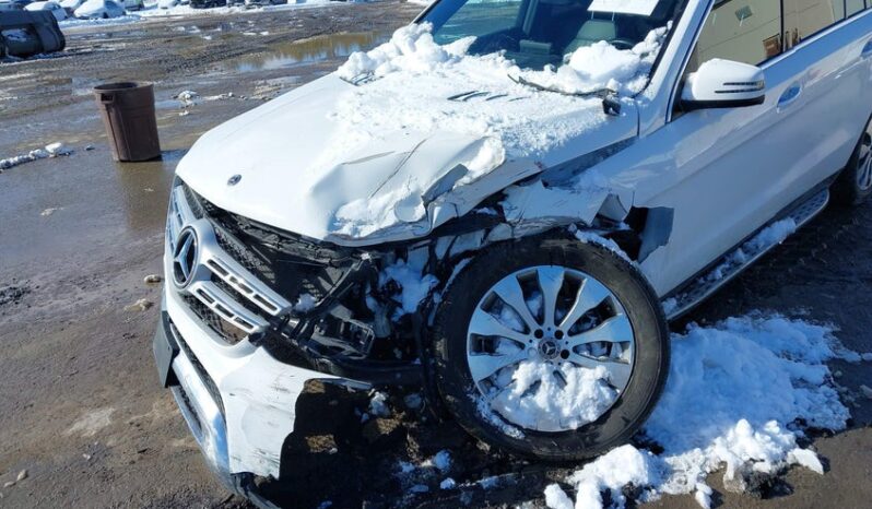 
								2019 Mercedes-benz Gls-klasse full									