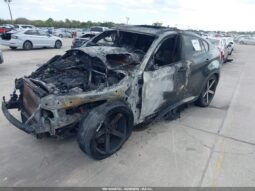 
										2013 BMW X6 full									