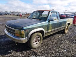 
										1994 Dodge Dakota full									