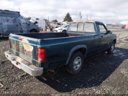 
										1994 Dodge Dakota full									