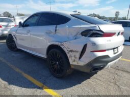 
										2022 BMW X6 full									