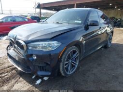 
										2016 BMW X6 full									