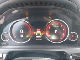 
										2019 BMW X6 full									