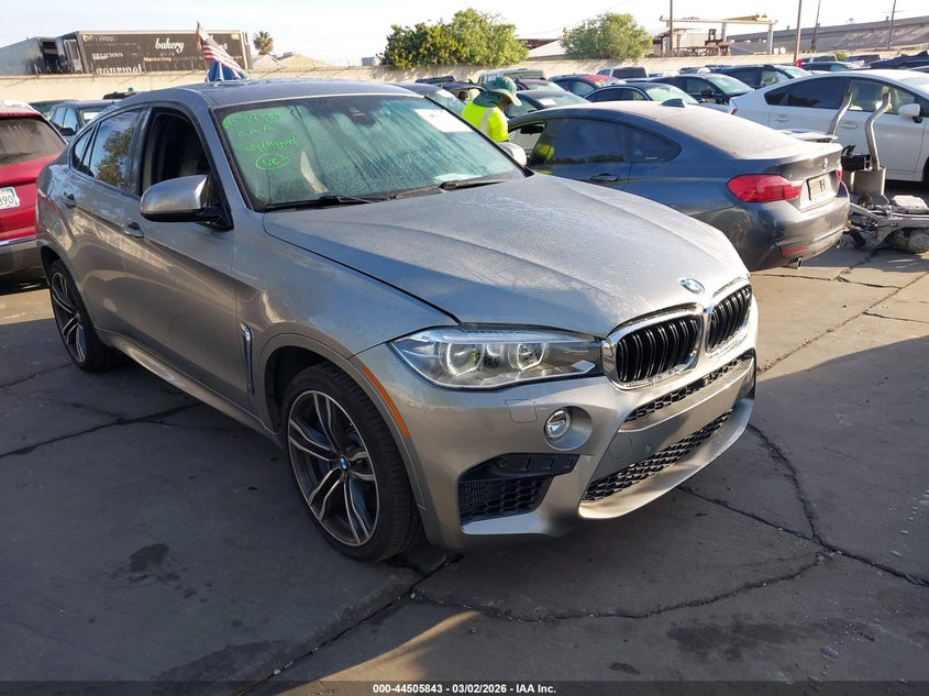 2017 BMW X6