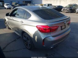 
										2017 BMW X6 full									