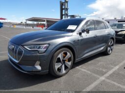 
										2019 Audi E-tron full									