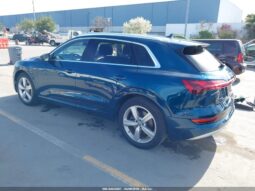 
										2019 Audi E-tron full									