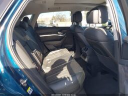 
										2019 Audi E-tron full									