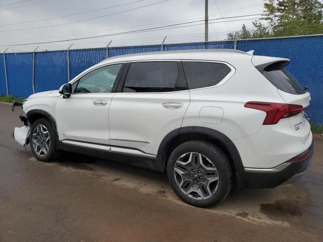 2023 Hyundai Santa fe l