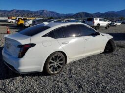 
										2024 Cadillac Ct5 full									