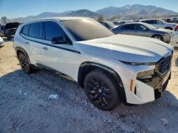 
										2023 BMW Xm full									