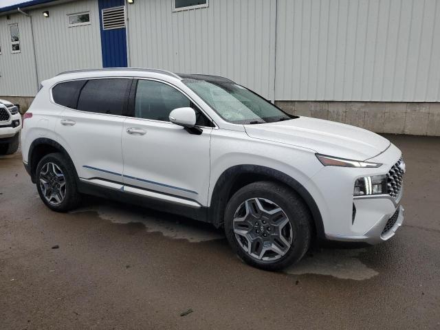 2023 Hyundai Santa fe l