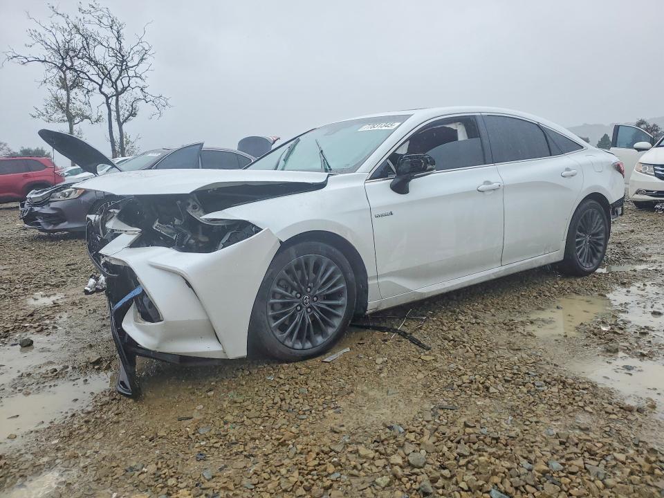 2019 Toyota Avalon