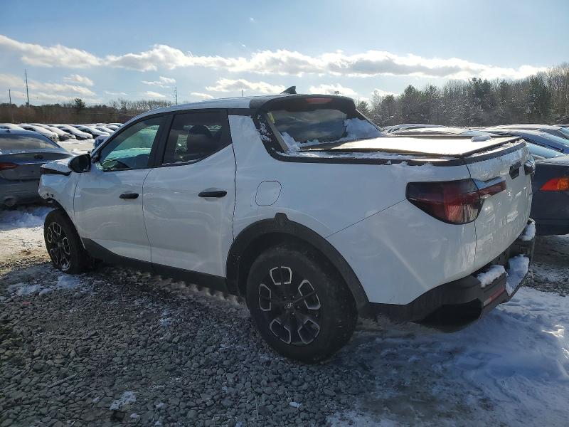 2024 Hyundai Santa cruz