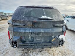 
										2025 BMW Xm full									