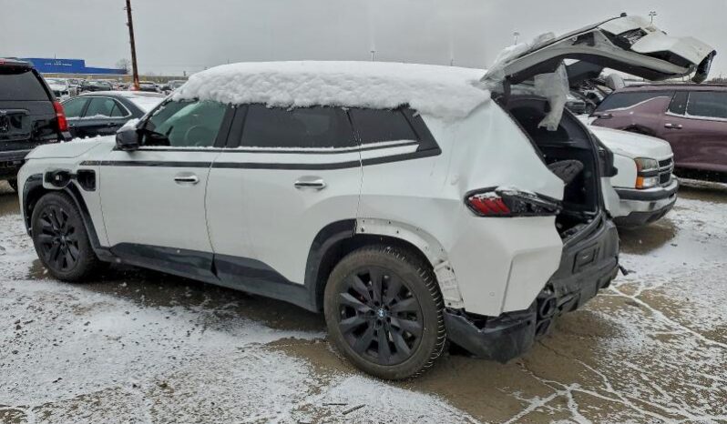 
								2023 BMW Xm full									