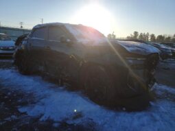 
										2025 BMW Xm full									