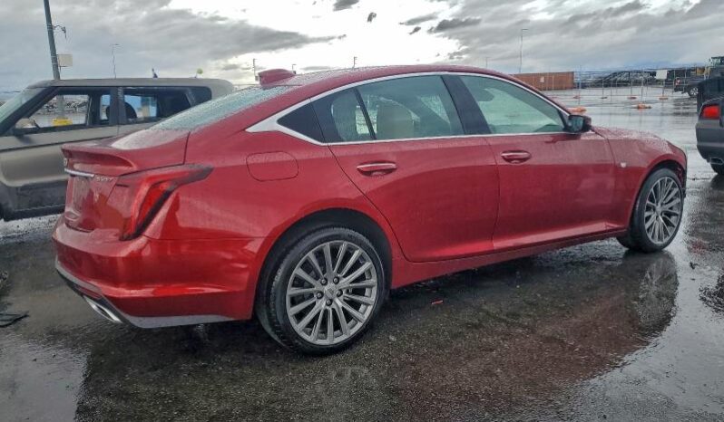 
								2025 Cadillac Ct5 full									